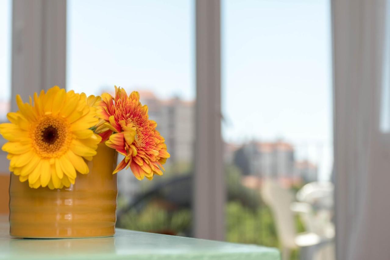 Nona Mileva Apartment Πούλα Εξωτερικό φωτογραφία